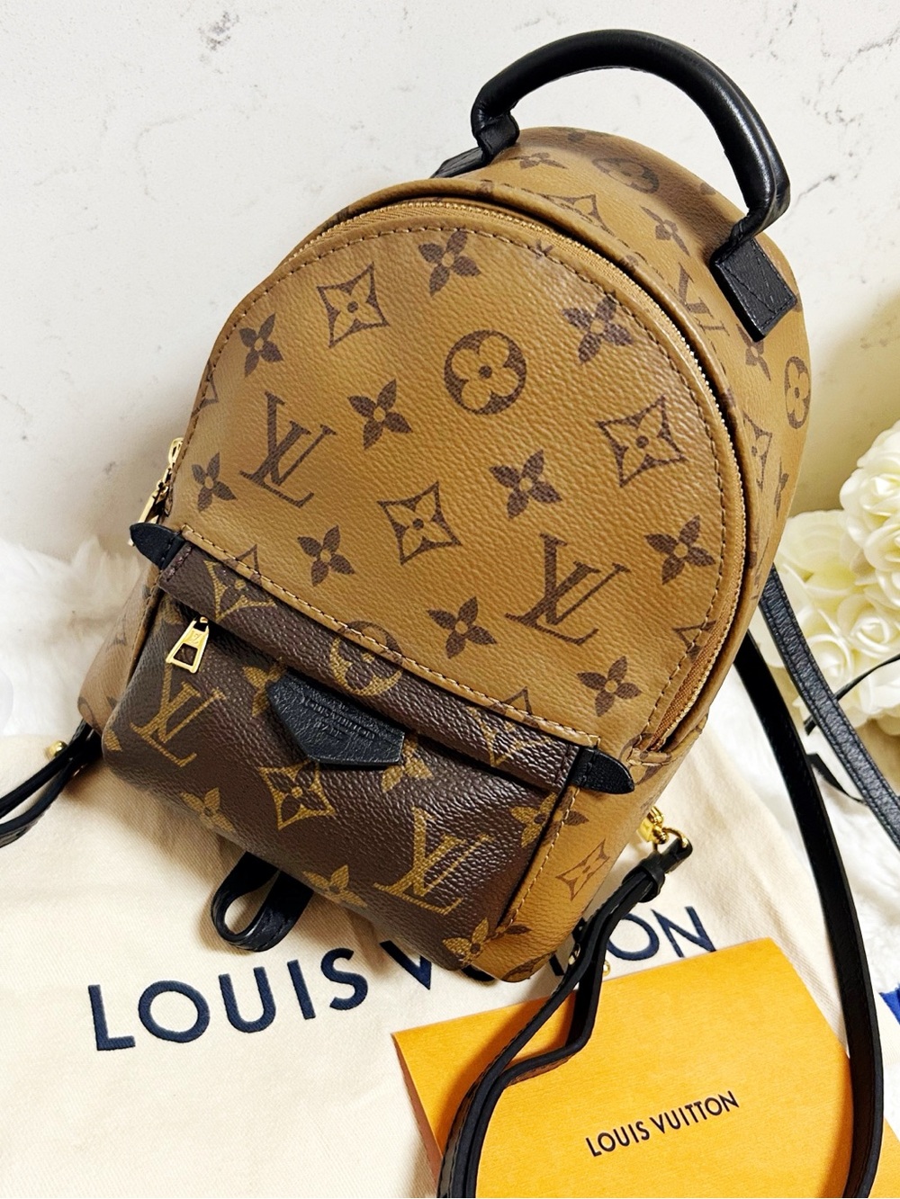 Authentic Louis Vuitton Reverse Monogram Palm Springs Mini Backpack / Bag
